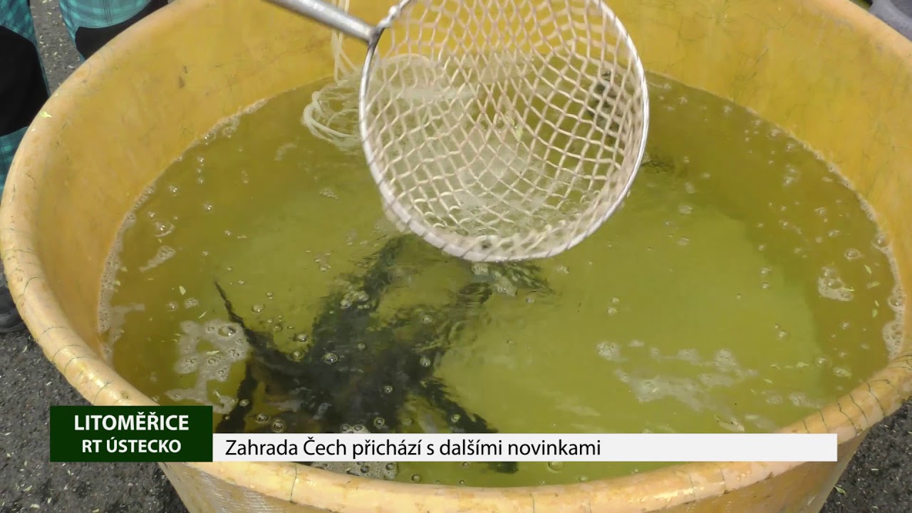 Zahrada Čech přichází s dalšími novinkami