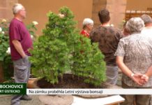 LIBOCHOVICE: Na zámku proběhla Letní výstava bonsají