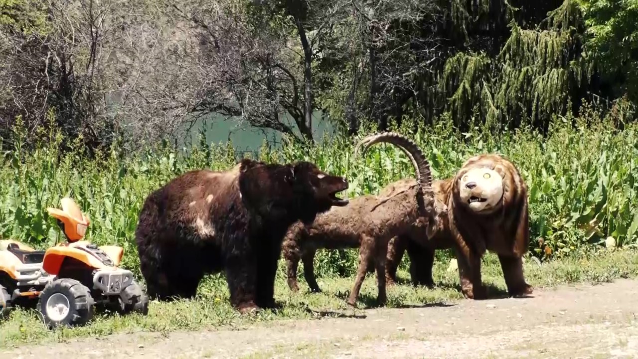 KYRGYZSTÁN – Cestopisný dokument z fotografické expedice