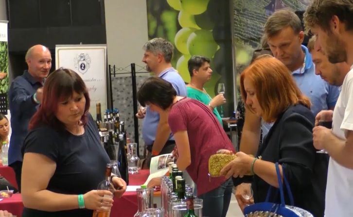 LITOMĚŘICE: Litoměřický Hrozen proběhne už v sobotu