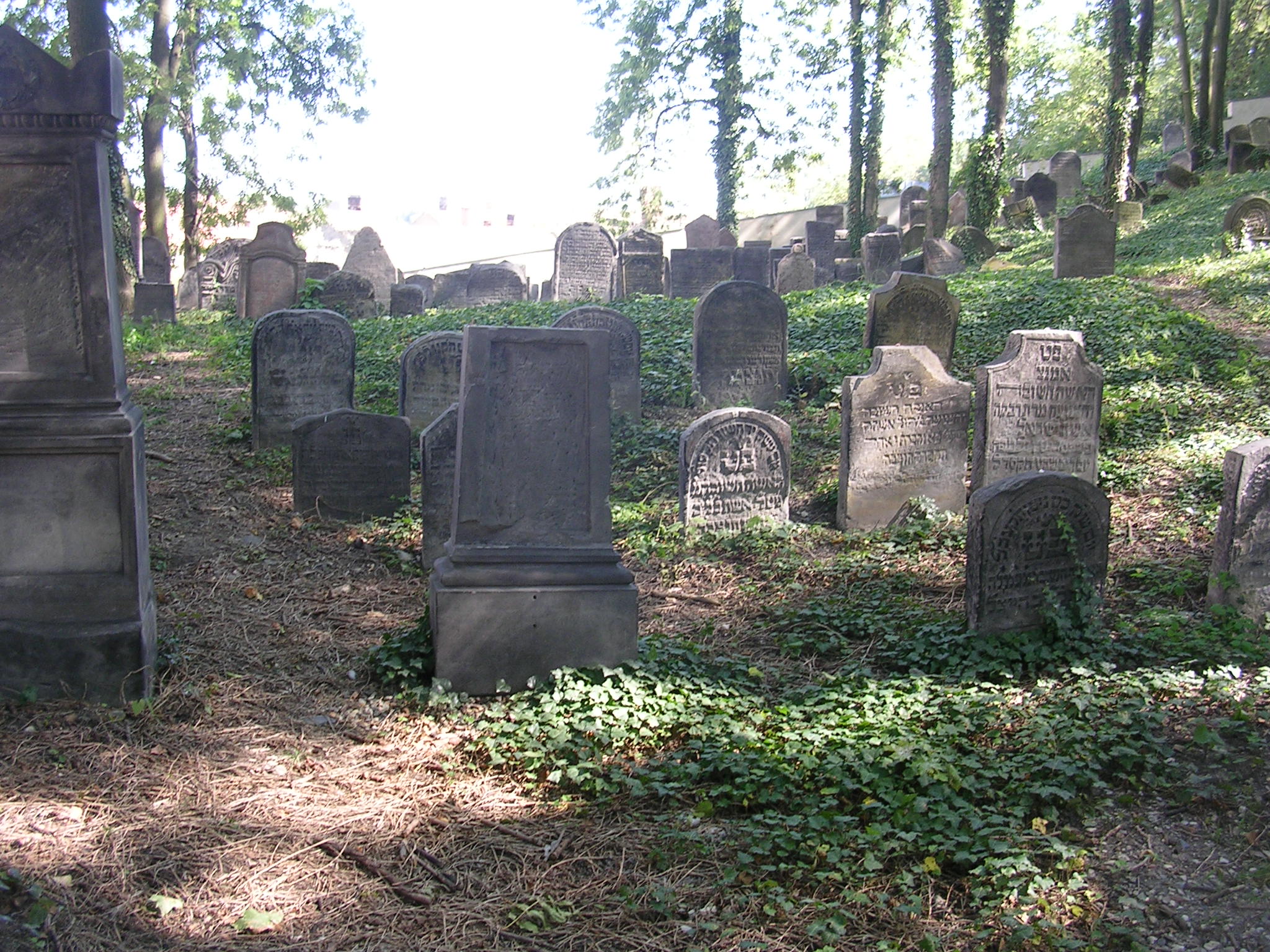 Archeologické léto pokračuje prohlídkou židovského hřbitova