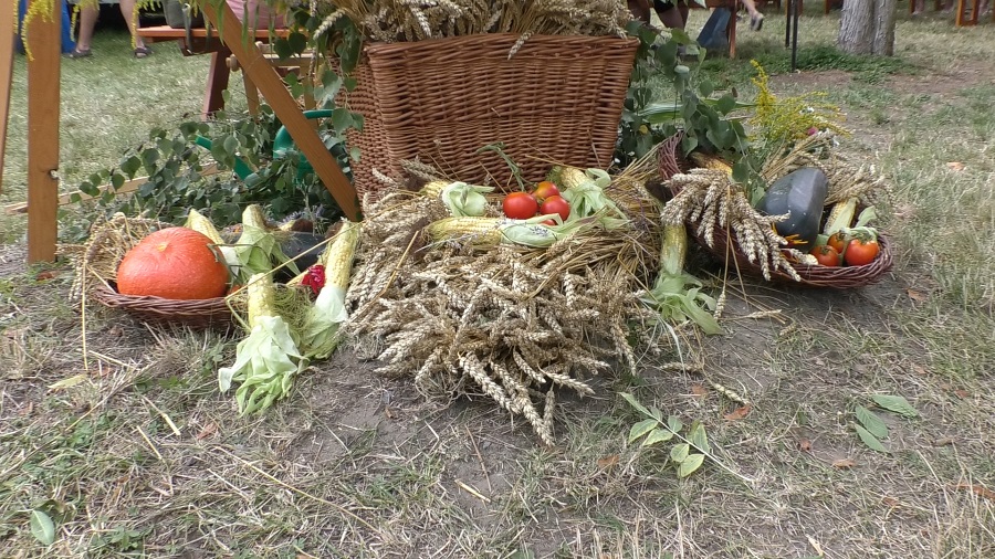 RADOUŇ: Znovu se slavily dožínky v Radouni