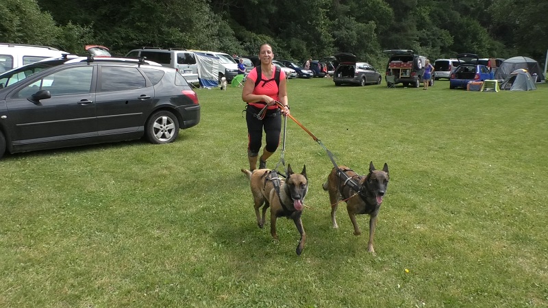 STŘÍŽOVICE: 7. ročník dogtrekkingových závodů opět ve Střížovicích