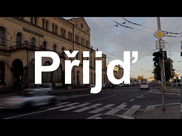 Krajské a senátní volby 2020: VIZE – národní socialisté