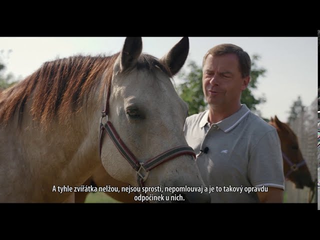 Krajské a senátní volby 2020: SEVEROČEŠI.CZ – Petr Pípal, kandidát na hejtmana