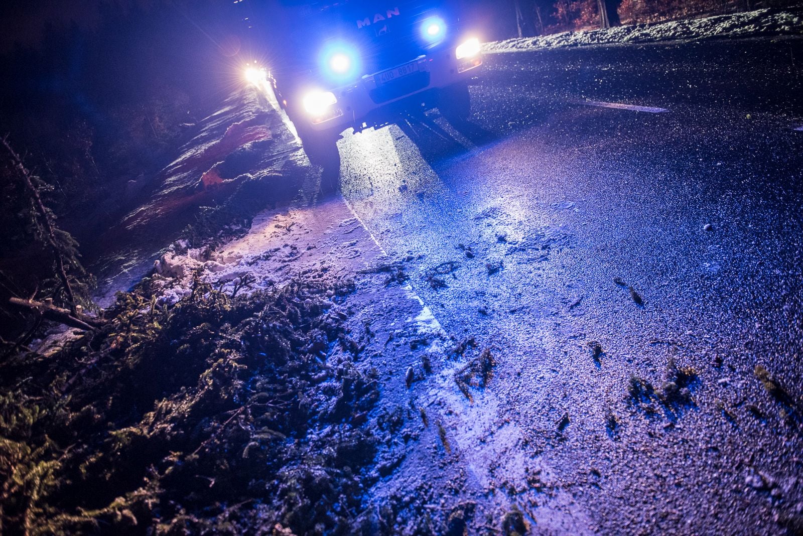 Vítr dnes vyvracel podmáčené stromy. I na Litoměřicku