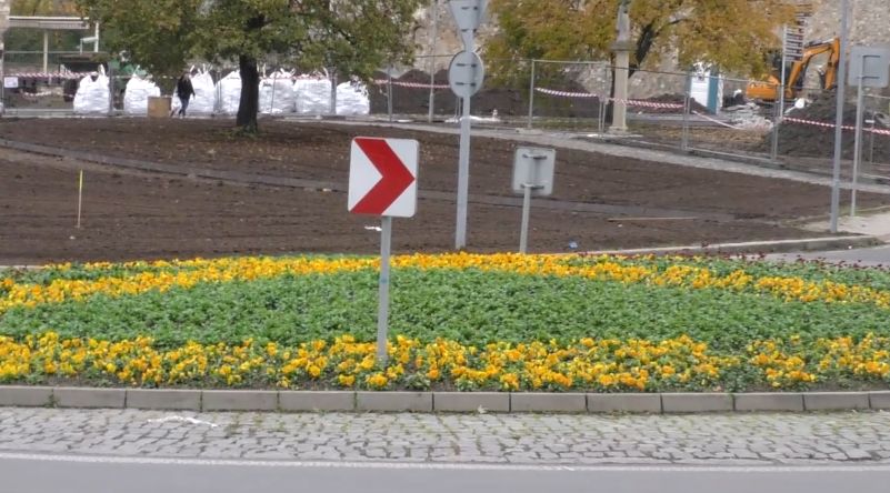 LITOMĚŘICE: Na kruhových objezdech vykvetly dvouletky