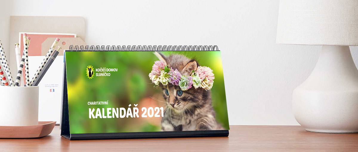 Kupte si kalendář na příští rok a pomozte kočičímu útulku!
