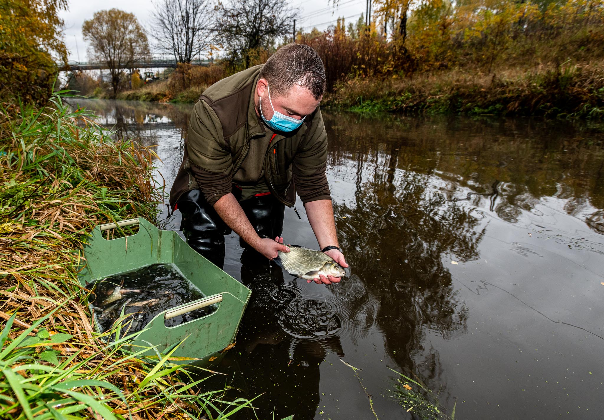Řeka Bílina ožila. Severočeští rybáři do ní vypustili nové ryby