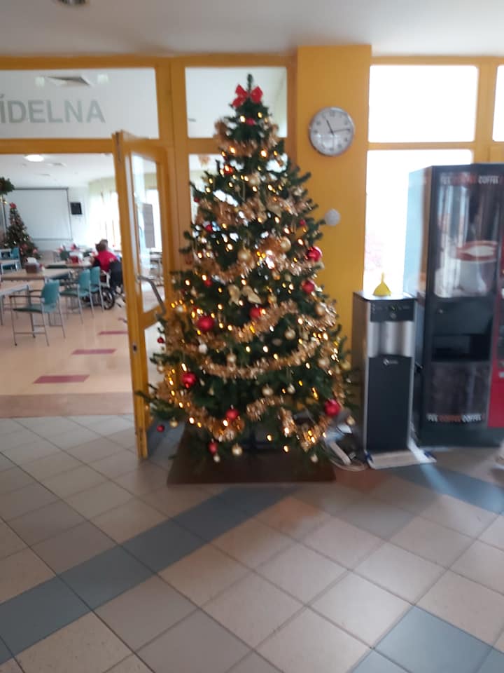 Roudnický Domov důchodců je bez koronaviru a připravuje sváteční výzdobu