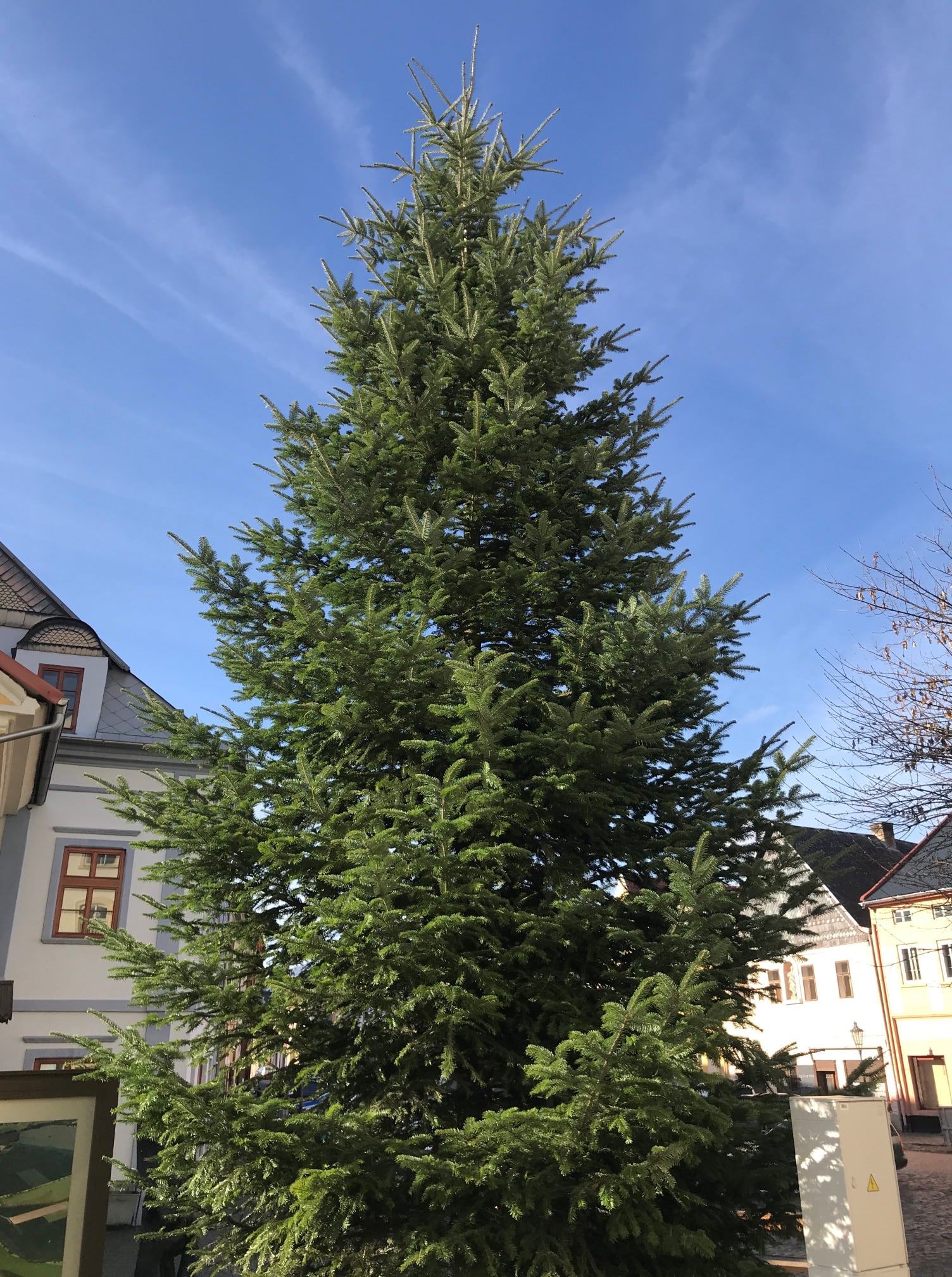 Stromeček v Úštěku se rozsvítí on-line, oblíbená „Vánočka“ letos nebude