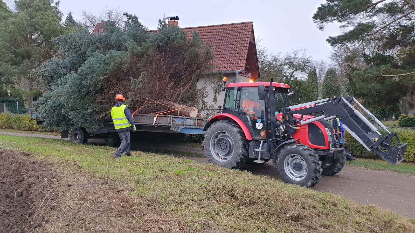 ŠTĚTÍ: Vánoční strom dorazil na Nové náměstí