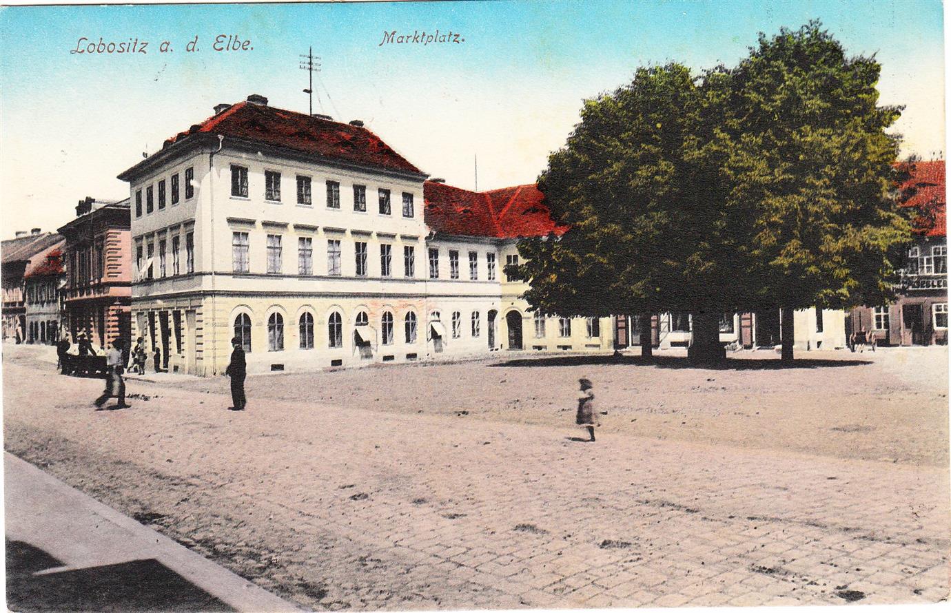 Lípy v centru Lovosic půjdou k zemi, nahradí je nové