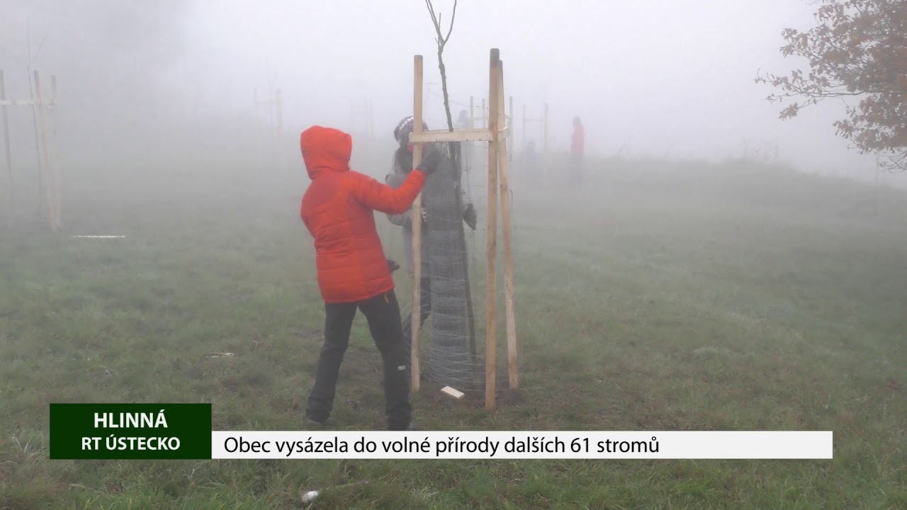 HLINNÁ: Obec vysázela do volné přírody dalších 61 stromů