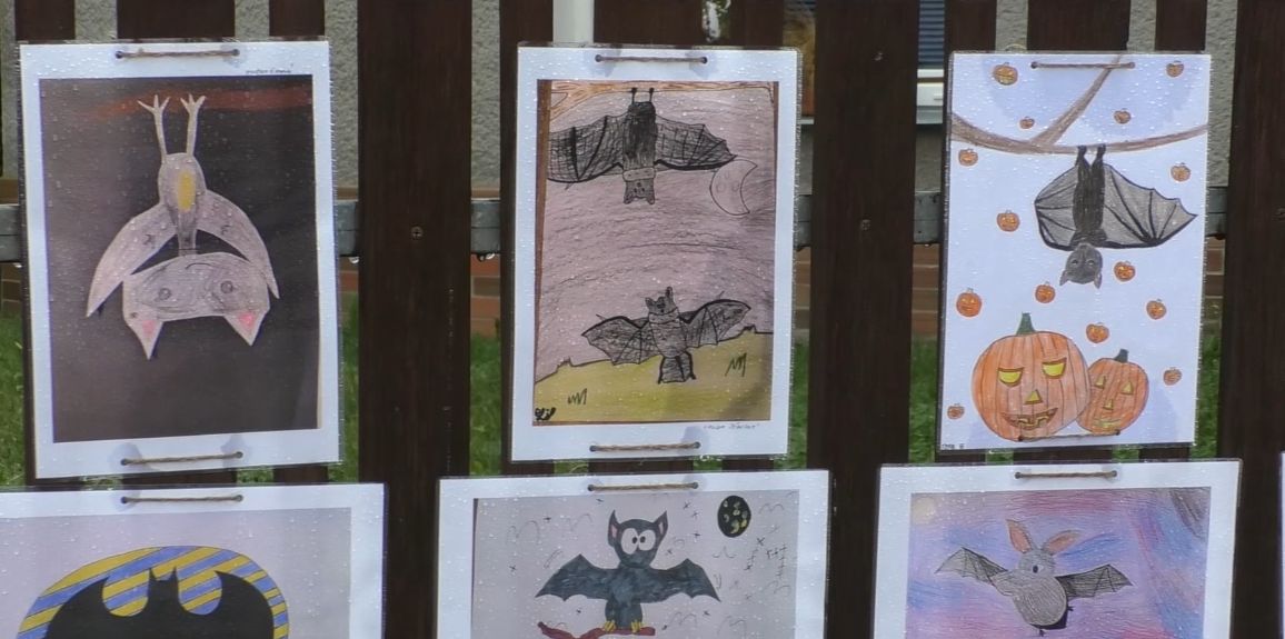 ŠTĚTÍ: Umění COVID nezastaví. Netopýří výstava ozdobila ZUŠ