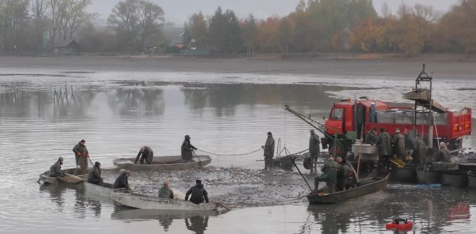 ÚŠTĚK: Výlov jezera Chmelař