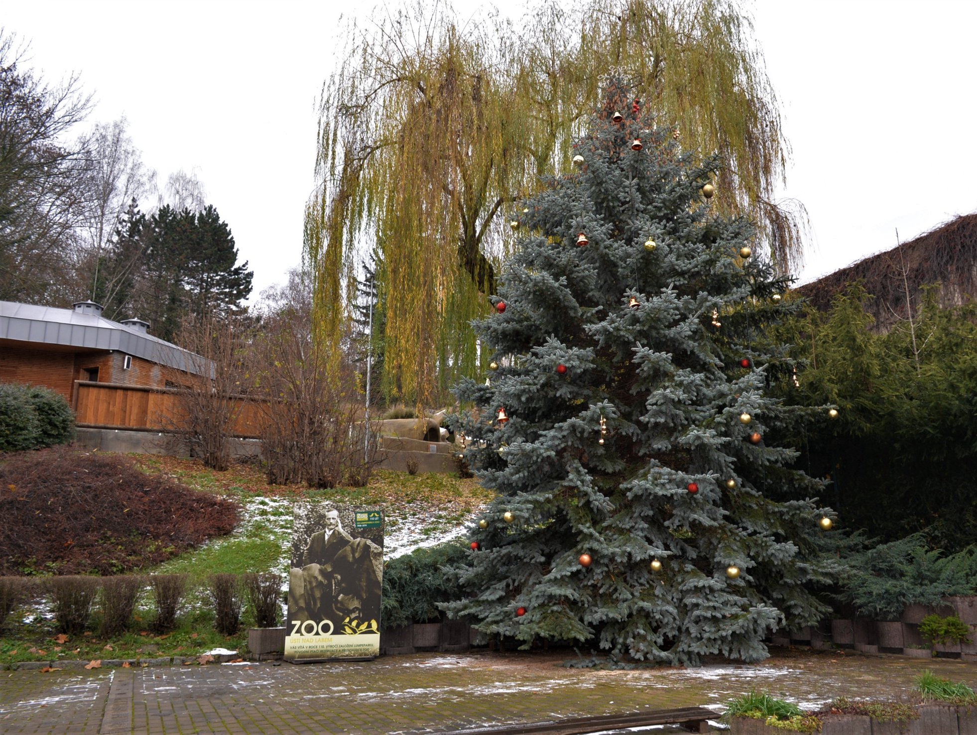 Ústecká ZOO otevírá, pavilony ale zatím zůstanou zavřené. Roušky s sebou!