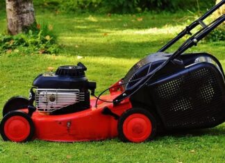 Postarejte se včas o své zahradní pomocníky