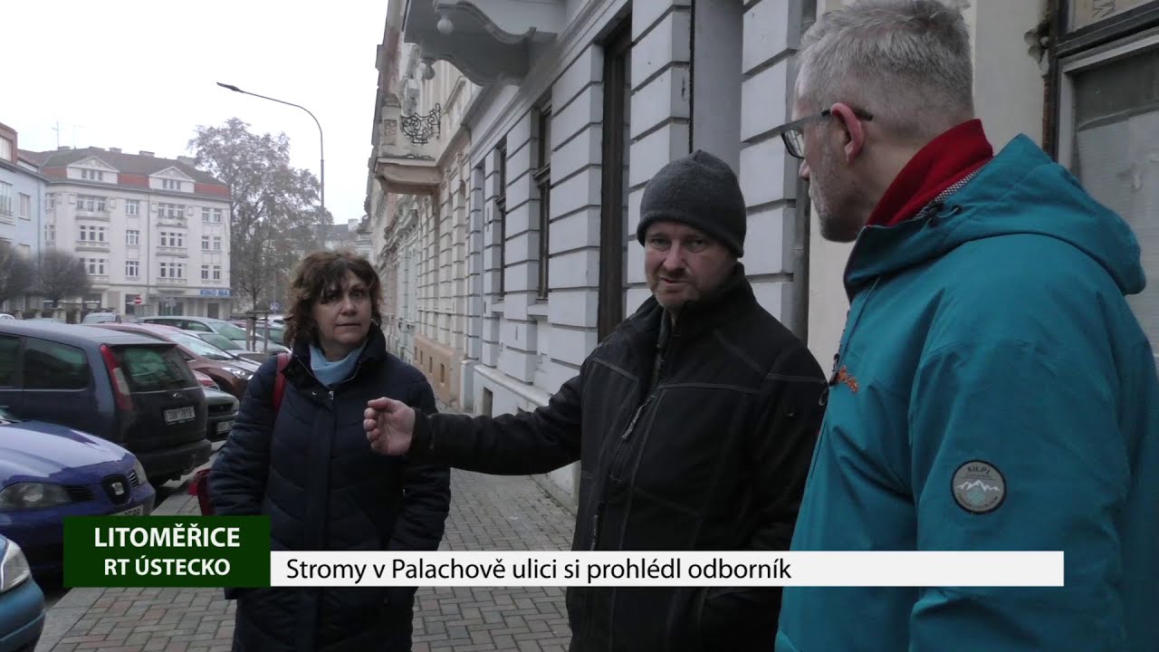 LITOMĚŘICE: Stromy v Palachově ulici si prohlédl odborník