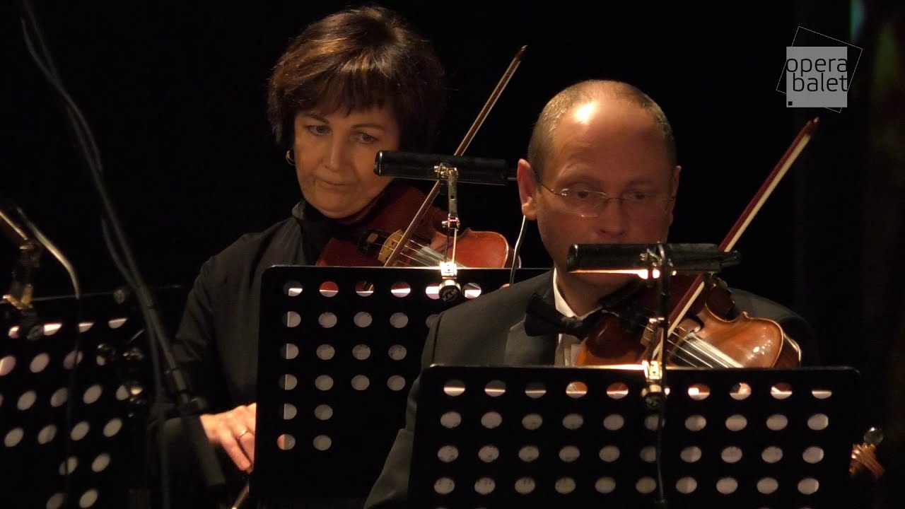 ÚSTÍ NAD LABEM: Adventní koncert Orchestru Severočeského divadla v Ústí nad Labem ZÁZNAM