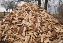 Město Libochovice má k prodeji palivové dřevo