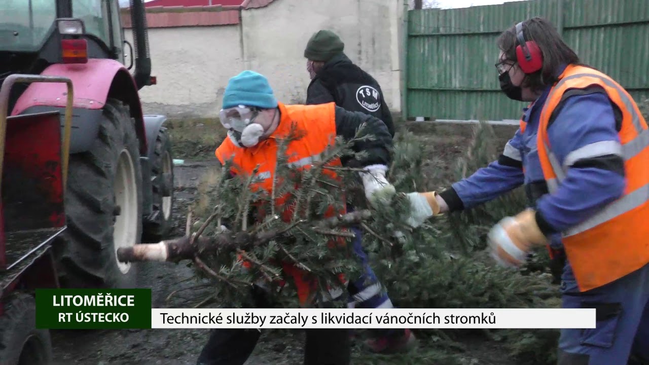 LITOMĚŘICE: Technické služby začaly s likvidací vánočních stromků