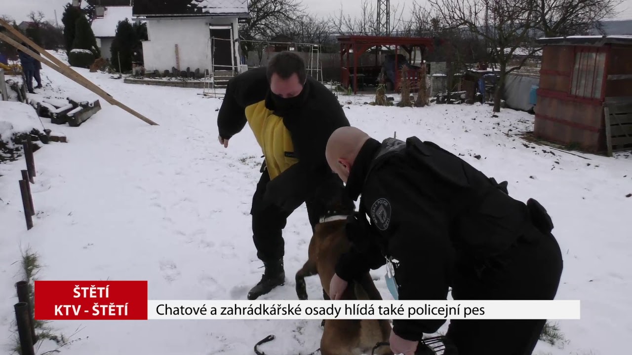 ŠTĚTÍ: Chatové a zahrádkářské osady hlídá také policejní pes