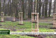 LIBOCHOVICE: V městském parku byly vysázeny téměř tři desítky nových stromů