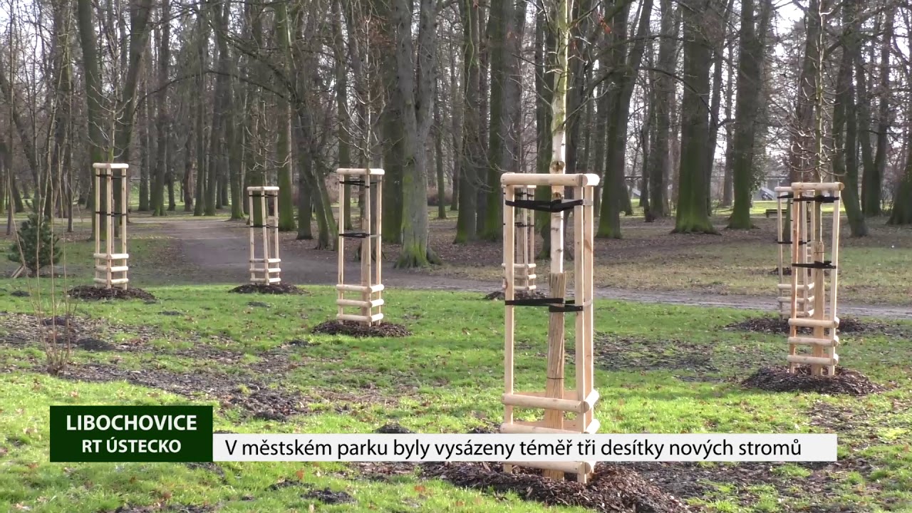 LIBOCHOVICE: V městském parku byly vysázeny téměř tři desítky nových stromů