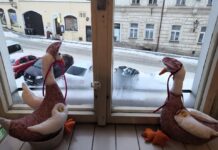 Kupte si v litoměřické Palačinkárně kousek jara! Dílny jsou stále v provozu!