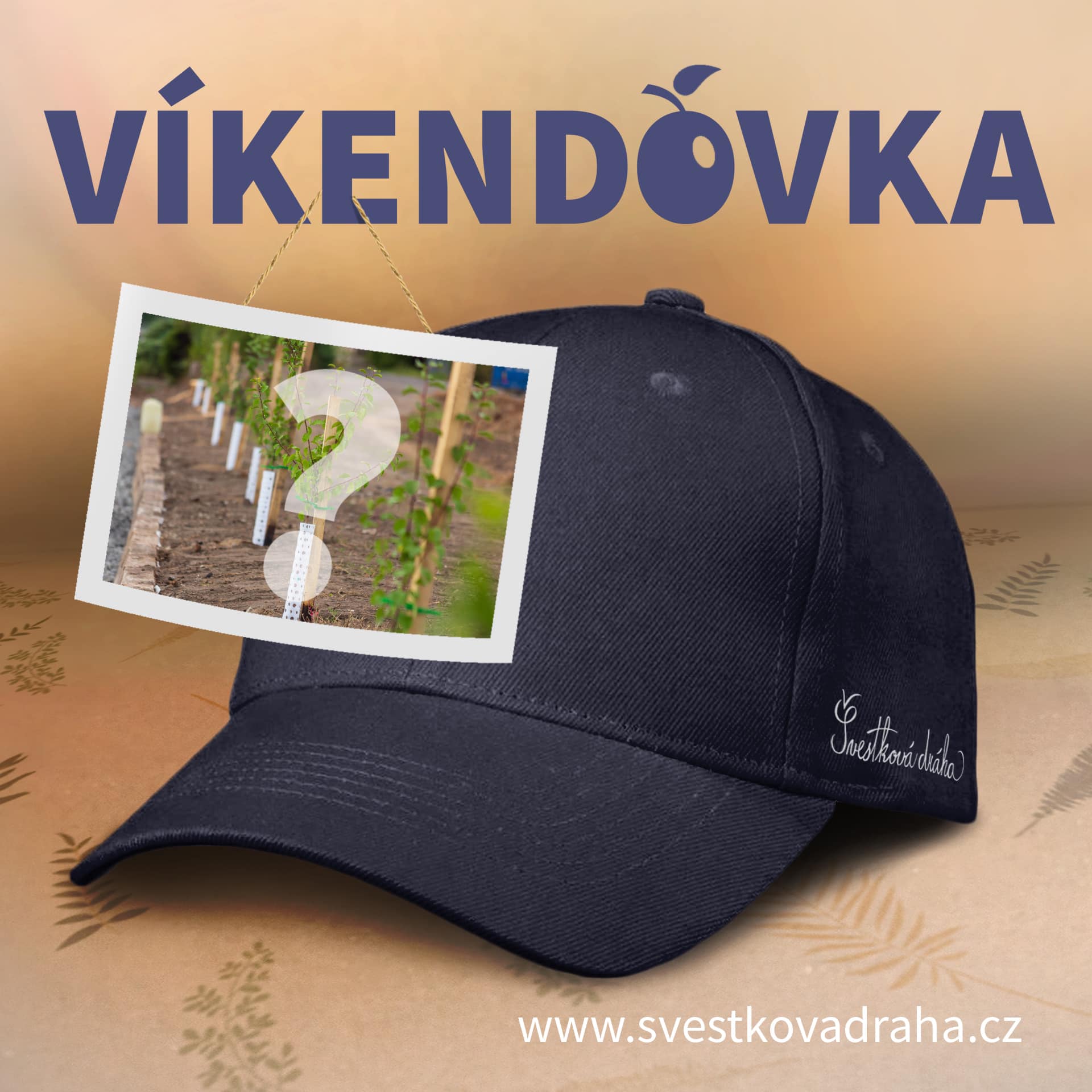 Soutěžte o kšiltovku s logem Švestkové dráhy! Jen tento víkend