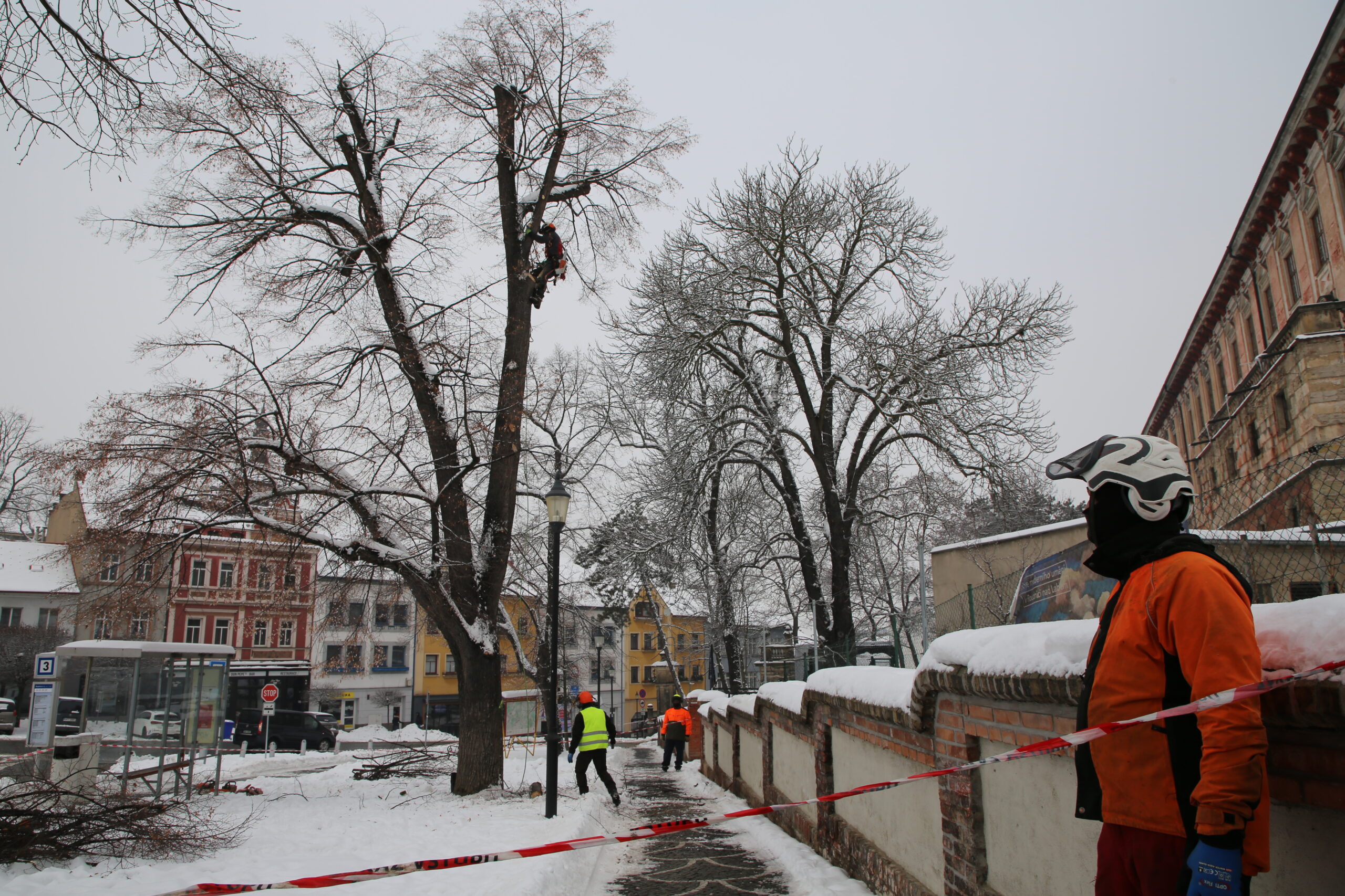 Řidiči, pozor! Údržba stromů o víkendu omezí parkování na roudnickém Karlově náměstí