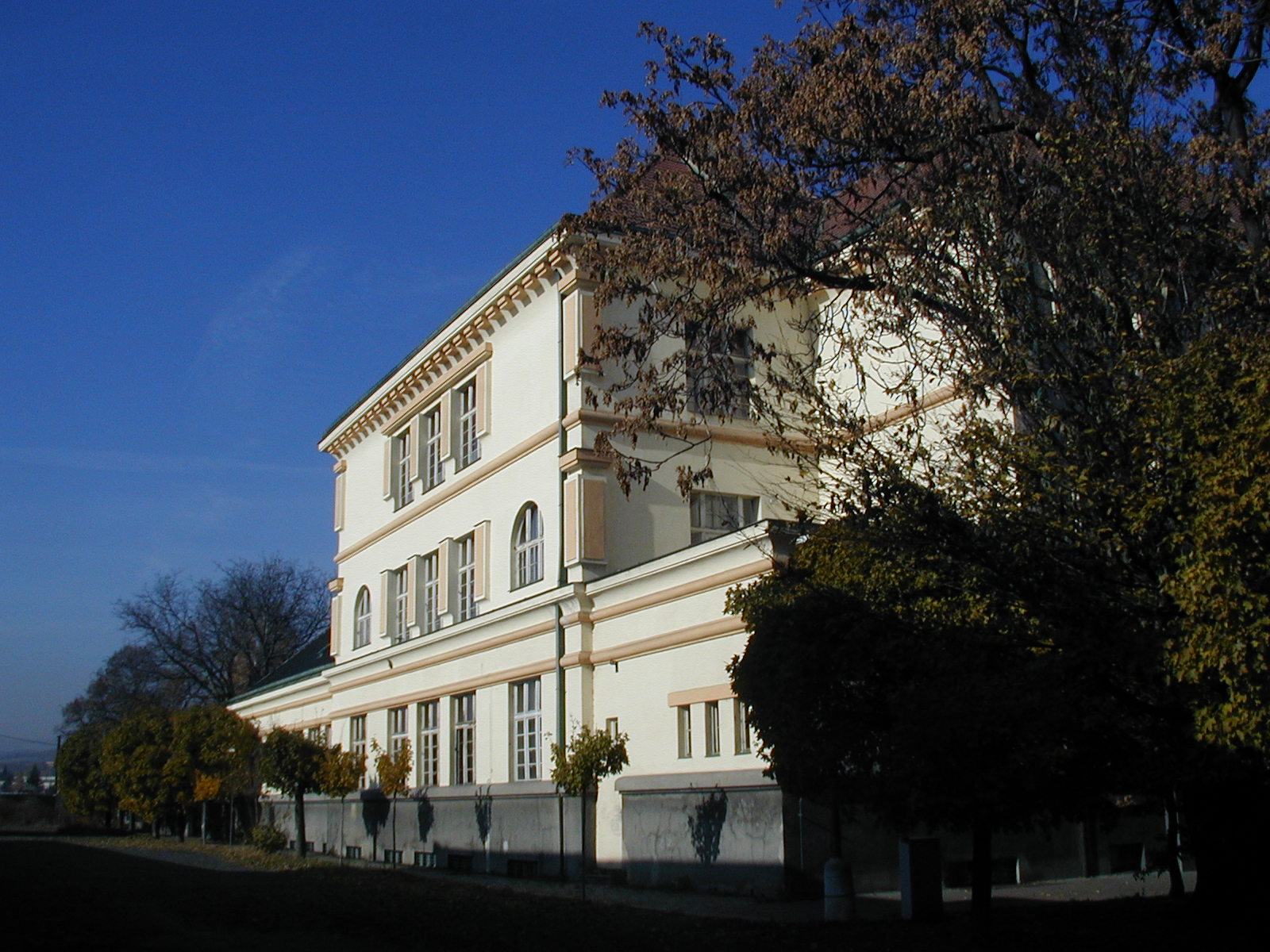 Lovosické gymnázium pořádá on-line Den otevřených dveří