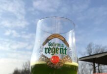 V Litoměřicích se bude prodávat zelené pivo