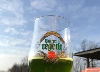 V Litoměřicích se bude prodávat zelené pivo