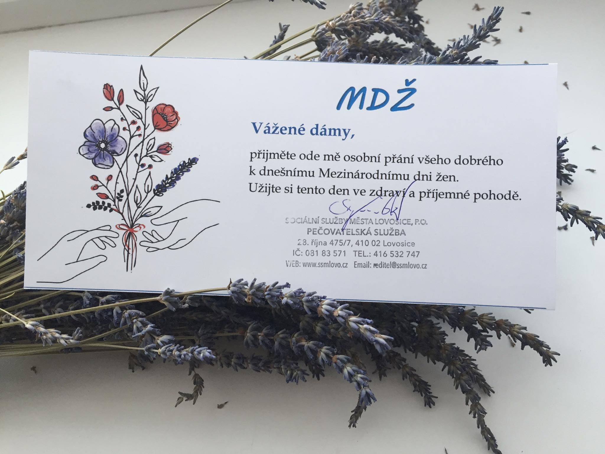 Sociální služby města Lovosice k MDŽ rozdávaly kytičku a přání