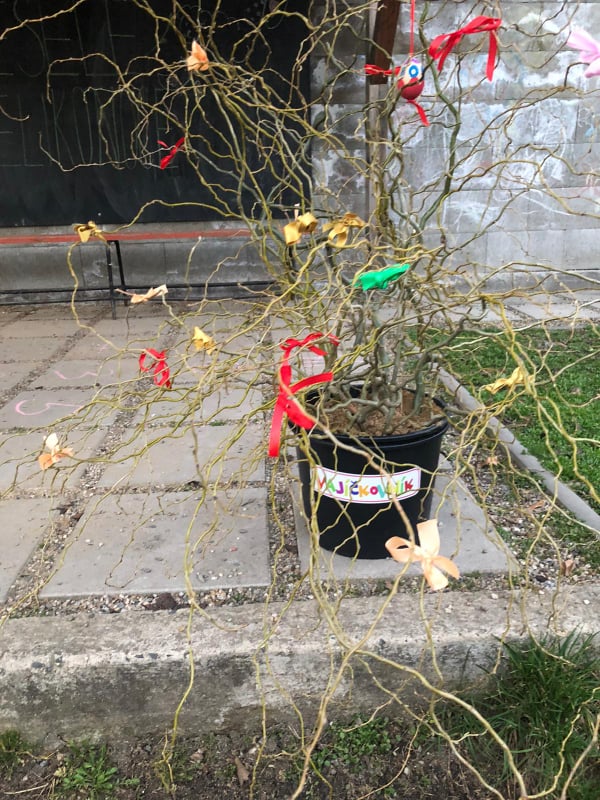 165555715_4069872143046571_1021772062644884360_n