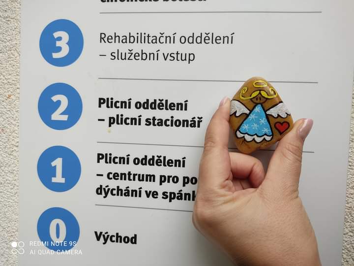 Lidé z Litoměřic, kteří se věnují kamínkování, udělali radost i v ústecké nemocnici