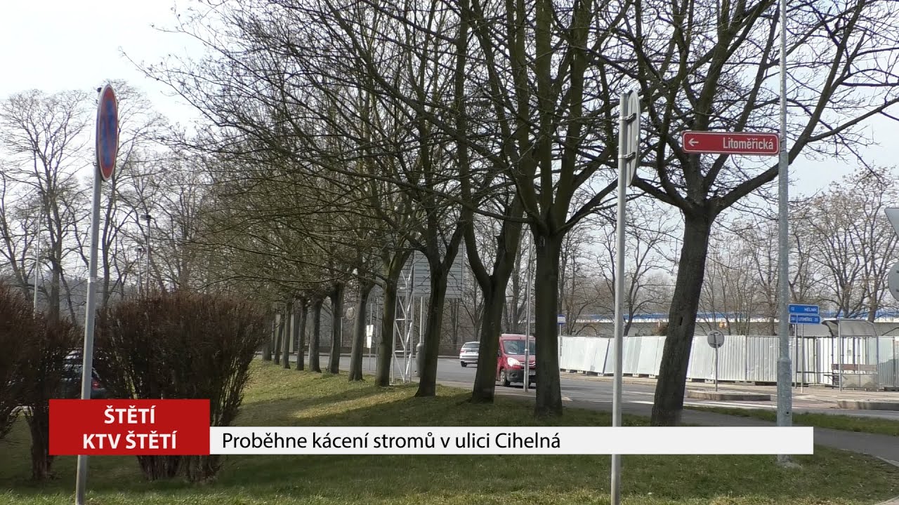 ŠTĚTÍ: Proběhne kácení stromů v ulici Cihelná