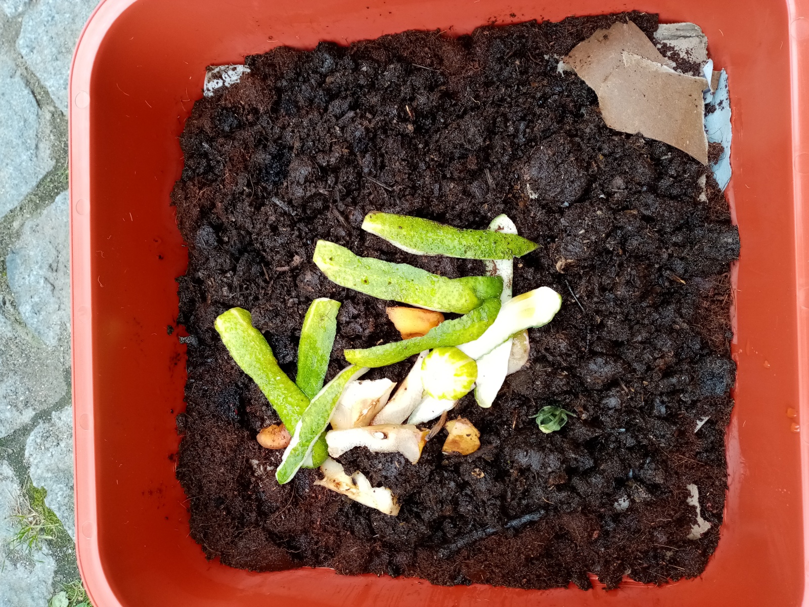 I v paneláku můžete kompostovat. Vermikompostér dostanete v Litoměřicích zdarma