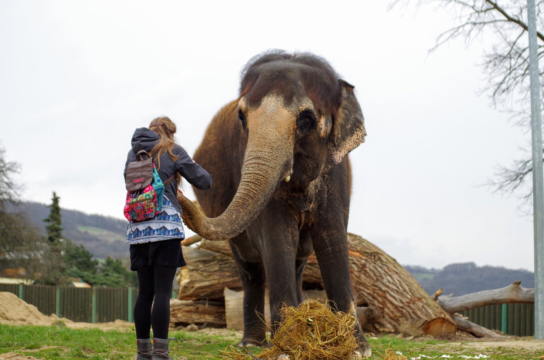 Ústecká ZOO v pondělí otevírá, zatím bez pavilonů
