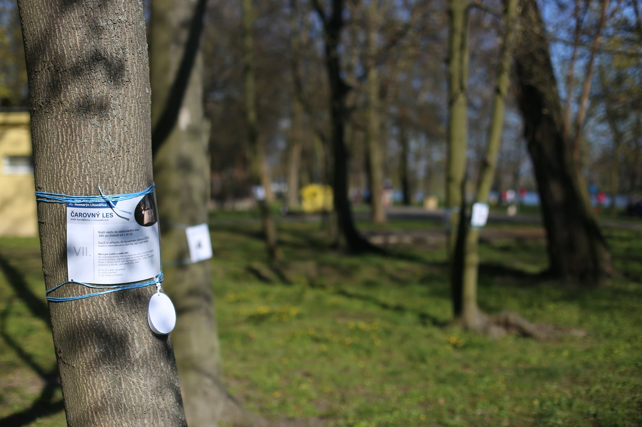 Čarovný les na Střeleckém ostrově je v plném proudu, přijďte si zasoutěžit!
