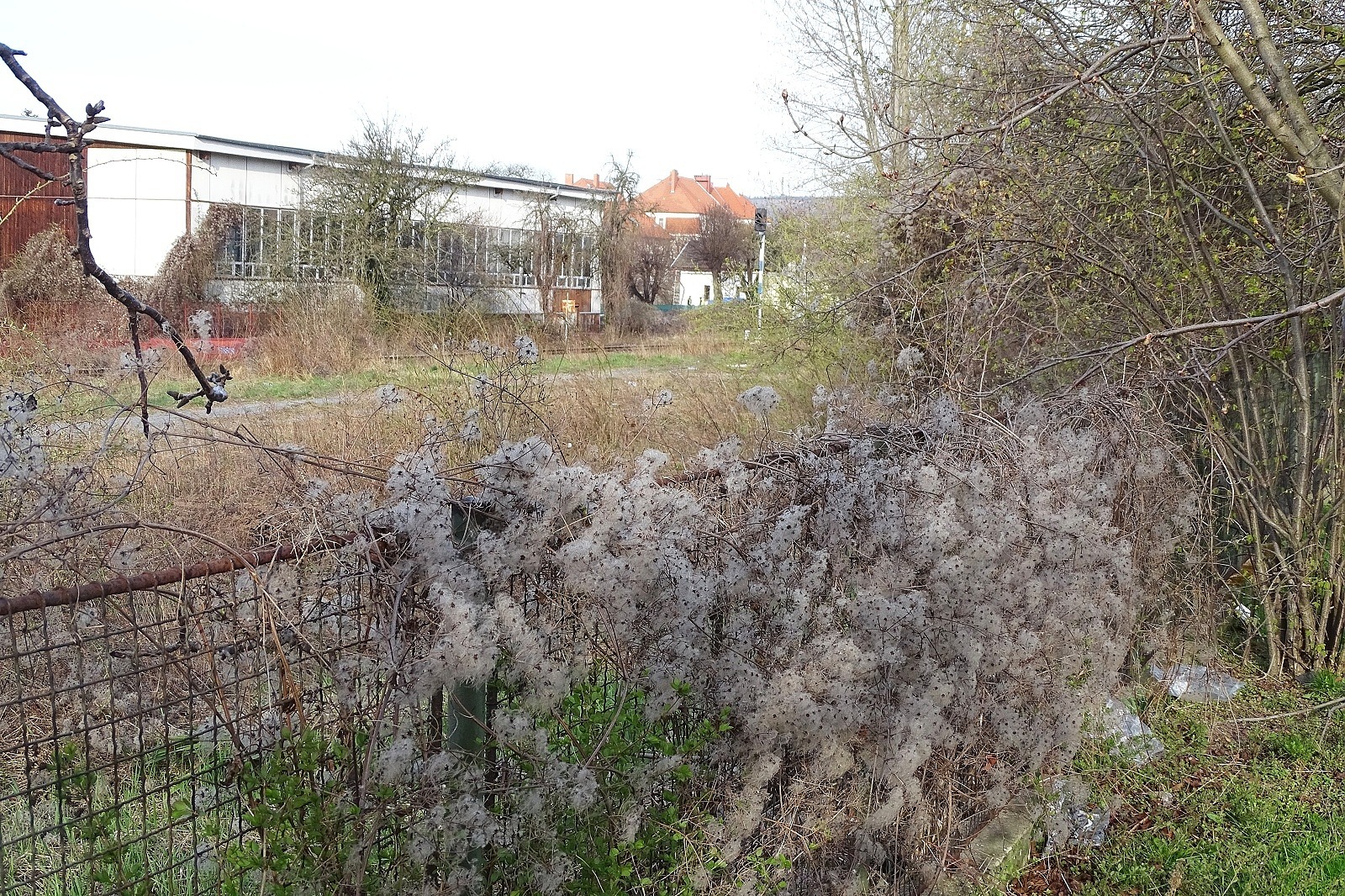 Zdevastovaný pozemek se změní v parkoviště