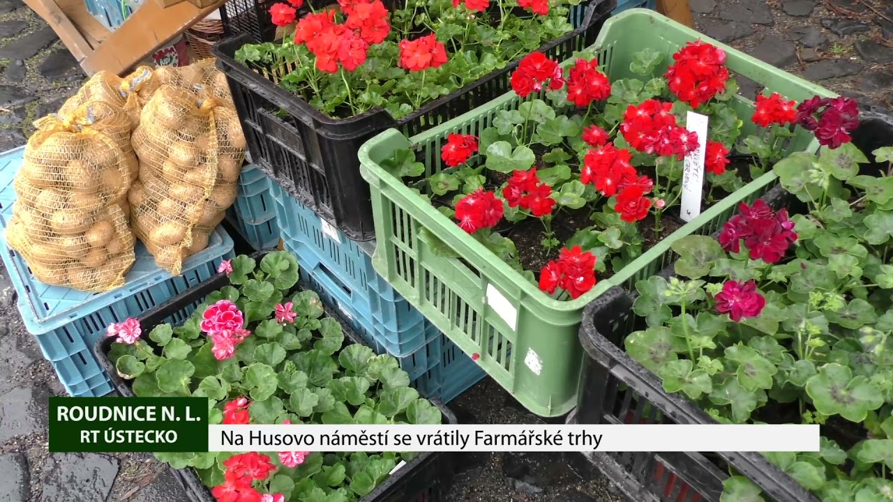 ROUDNICE N. L.: Na Husovo náměstí se vrátily Farmářské trhy