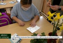 KŘEŠICE: V ZŠ probíhá testování bez problémů, v září se otevře přípravná třída