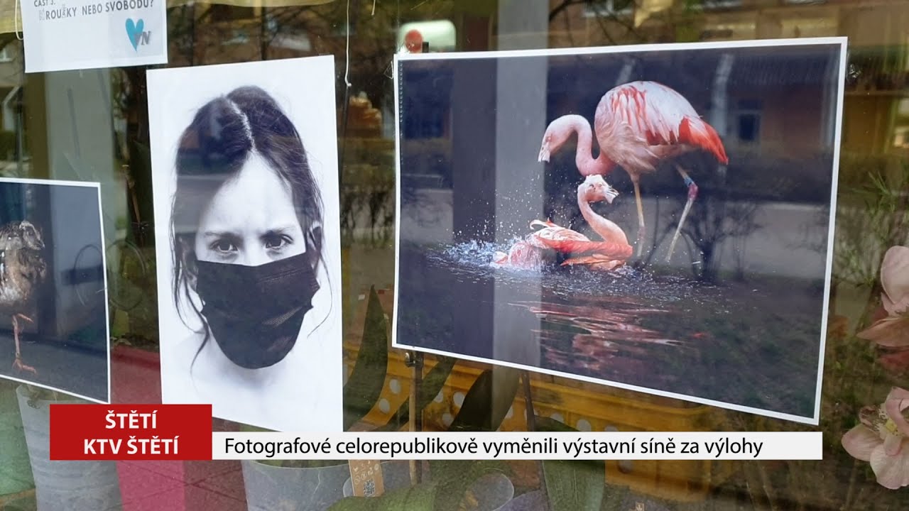 ŠTĚTÍ: Fotografové celorepublikově vyměnili výstavní síně za výlohy