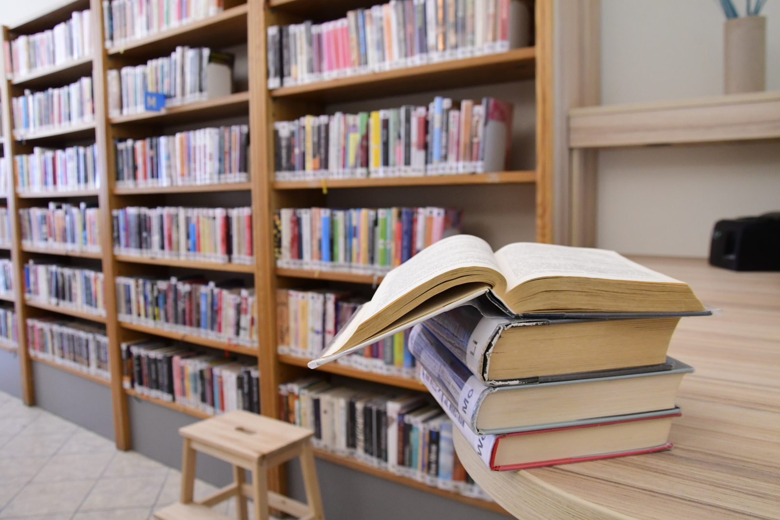 Pro Knihovnu Karla Hynka Máchy se hledá nový ředitel