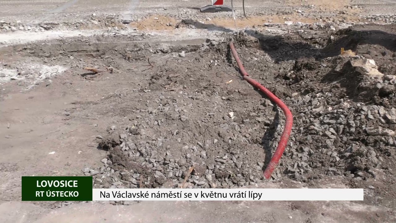 LOVOSICE: Na Václavské náměstí se v květnu vrátí lípy