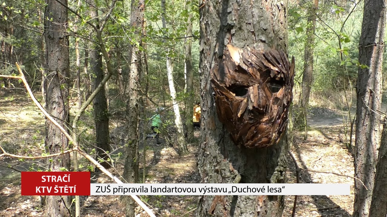 STRAČÍ: ZUŠ připravila landartovou výstavu „Duchové lesa“
