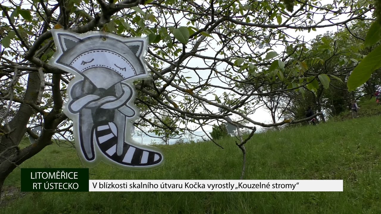 LITOMĚŘICE: V blízkosti skalního útvaru Kočka vyrostly „Kouzelné stromy“